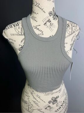 Steele Lorena Cropped Sleeveless Grey Top NWT Size XS